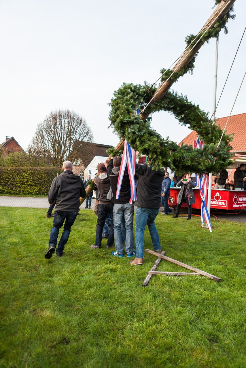 Bild 37 - Maibaum